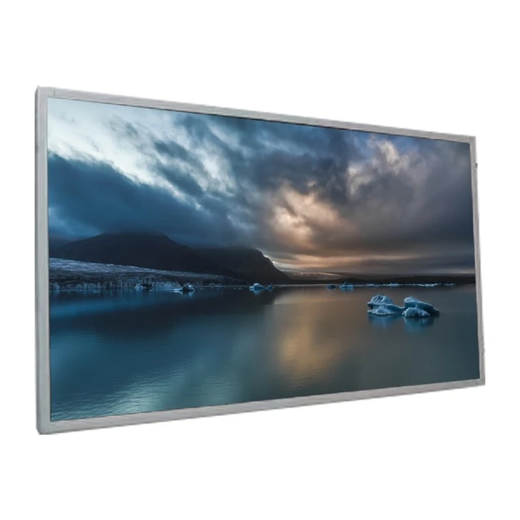 HSD250MUW1-A00 30 Καρφίτσες 24,5 ιντσών 1920*1080 TFT LCD οθόνη οθόνης