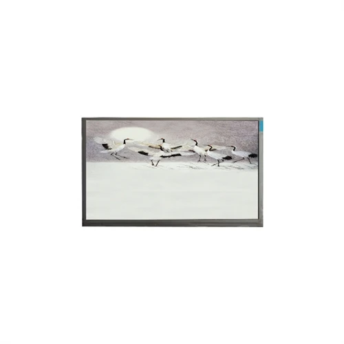 P101GWWF R2 IVO Νέα μάρκα πρωτότυπη οθόνη LCD Εισαγωγή στις λειτουργίες και τις παραμέτρους