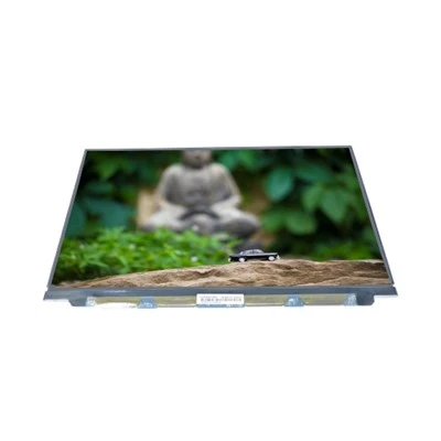 LT131EE11000 Οθόνη LCD 13,1 ιντσών 1920*1080 φορητός υπολογιστής για Toshiba Matsushita 60HZ